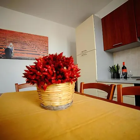 Apollo Erdgeschoss Appartement